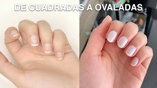 Cómo limar las uñas de cuadradas a ovaladas  Priscila [upl. by Naj]