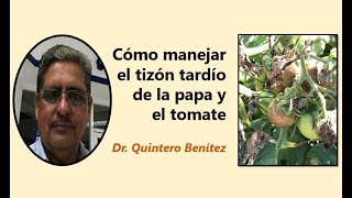 Manejo de Phytophthora infestans en papa y tomate [upl. by Nesyt791]