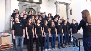 Volkslied aus dem Tessin  Schweizer Jugendchor [upl. by Auqined]