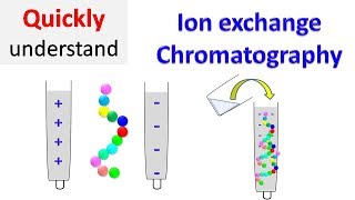 Ion exchange chromatography [upl. by Dobb]