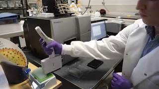 Live Cell Assay Protocol Part 2 Plate Reader Setup amp Running Experiment [upl. by Schlessel386]