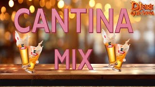 CANTIANA MIX LIVE DESPECHADOS BY DJ FIRE QUINTANA [upl. by Flosi]