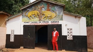 LiveLoveAfrica Tour of the Sacred Forest Ouidah Benin [upl. by Sidwell]