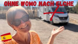 Palmenhain in ElxElche 🌴 so schön  ein Geheimtipp  Überwintern in Spanien im Wohnmobil mit Hund [upl. by Hendricks333]