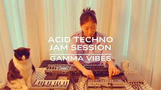 Gamma Vibes  Live Acid Techno Jam Session [upl. by Bethesde606]