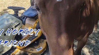 Transforming a 5Acre Overgrown Horse Field in 60 Seconds  Epic Mowing Time Lapse [upl. by Andras]