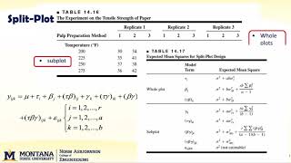 DOE 141 split plot intro v1 [upl. by Remington]