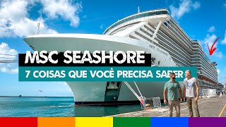 Viagem de Cruzeiro no Brasil MSC SEASHORE  7 Coisas que você Precisa Saber [upl. by Mali959]