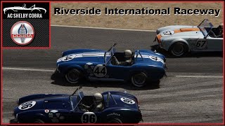 American Muscles Cars  Shelby AC Cobra in Riverside [upl. by Cosmo515]