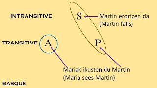 Morphosyntactic Alignment  What is Ergativity [upl. by Theressa794]