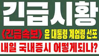 긴급시황 윤 대통령이 계엄령을 선포했다는 소식입니다 내일 국내증시 어떻게 될까요 [upl. by Airpal36]