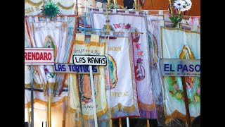 Peregrinación al Tepeyac 2019  Región Morelia  Grupo Las Ranas [upl. by Orimar104]