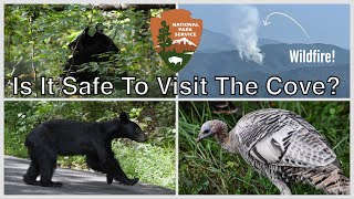 Visiting Cades Cove During The Flint Gap Wildfire Great Smoky Mountains National Park [upl. by Anar]