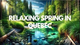 Quebec Spring Serenity [upl. by Ainos]