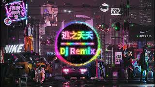 逃之夭夭dj dj remix 中文舞曲2021 [upl. by Nais]