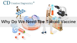 Why do we need the toxoid vaccine [upl. by Gamages]