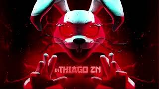 MONTAGEM HIPNÓTICA 20  DJ THIAGO ZN [upl. by Novikoff]