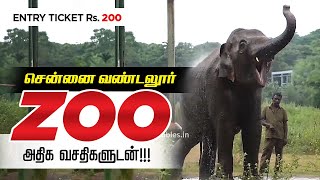 சென்னை வண்டலூர் ஜூ I Vandalur Zoo  Entry fee Rs 200  Chennai Vandalur Zoo Lion Safari [upl. by Eva]