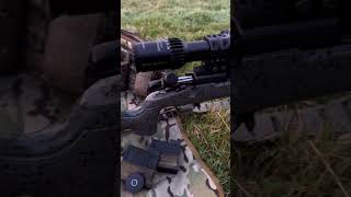 Red dots and long rifles Bergara B14R Schmidt amp Bender PM II High Performance… an awesome set up [upl. by Shadow]