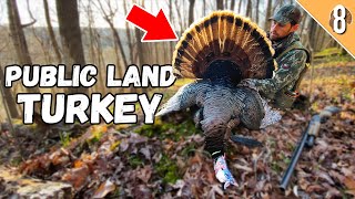 ILLINOIS PUBLIC LAND GOBBLER  3 Day Hunt for a TOUGH Turkey [upl. by Ansell718]