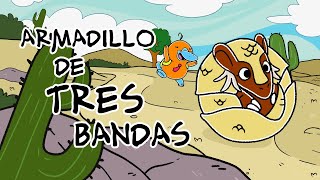 Hola Flinko  Armadillo  Capítulo 10 completo Temporada 1 [upl. by Mendoza]