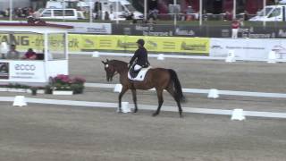 Ecco FEI European Championships 2013 Herning  ParaDressage Day 4 Highlights [upl. by Austina]