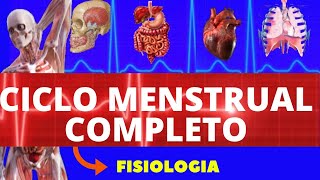 CICLO MENSTRUAL COMPLETO FISIOLOGIA DE GUYTON  MENSTRUAÇÃO  FISIOLOGIA HUMANA  OVULAÇÃO [upl. by Hairahcez]