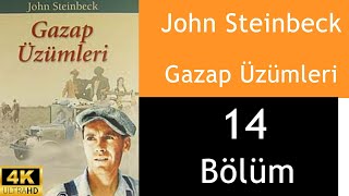 Gazap Üzümleri Sesli Kitap 14Bölüm [upl. by Link]