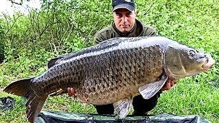 Carpfishing sul lago di Varese [upl. by Burr]