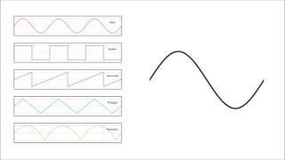 Basic Waveforms [upl. by Areid]