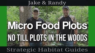 Plant a PERFECT Deer Food Plot in 3 Steps [upl. by Bertero]