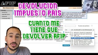 Devolucion Impuesto Pais Cuanto me tiene que devolver la AFIP [upl. by Oijile525]