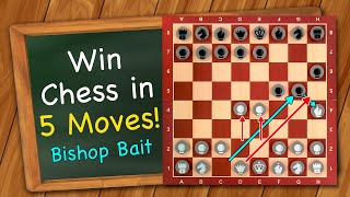 How to win Chess in 5 moves by baiting your opponent [upl. by Allix373]