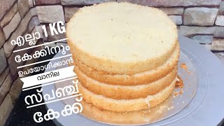 എല്ലാ കേക്കിനും പറ്റുന്ന വാനില സ്പഞ്ച് കേക്ക് vanillaspongecake vanillacake [upl. by Malsi]