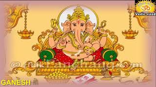 GANESH MANTRA ॐ गणानां त्वा गणपतिं VEDIC NAAD quotवैदिक नादquot आचार्यो द्वारा [upl. by Derriey602]