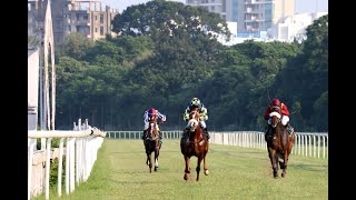 GLOBAL INFLUENCE wins The HPSL Calcutta Colts Trial Stakes [upl. by Whitnell111]