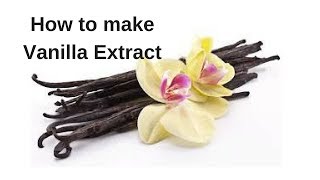 How to Make Vanilla Extract [upl. by Hui]