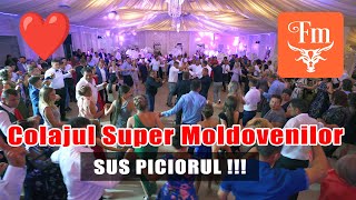 Colajul Super Moldovenilor 💪 Forta petrecerii moldovenestiALINA BABIUC amp Formatia Zefir [upl. by Rorie]