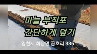 부직포파종후진일산업 마늘파종기 파종 후 부직포 작업 [upl. by Irallih527]