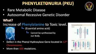 Phenyl Ketonuria  PKU  English  ThiNK Biology [upl. by Kinsler]