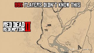 Only A Few Players Have Seen This  RDR2 rdr2 [upl. by Eiramik]