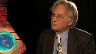 The Nature of Existence Richard Dawkins [upl. by Kitty]