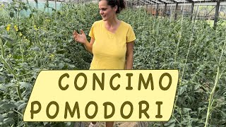 POMODORO  la concimazione ideale [upl. by Aremat]