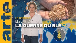 Insécurité alimentaire  la guerre du blé  Le dessous des cartes  Lessentiel  ARTE [upl. by Feigin]