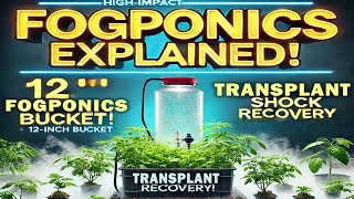 Hydroponics Training  Episode 25 DIY FOGPONICS AT HOME Hydroponics Farming Training [upl. by Naryk]