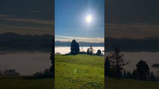 Nebel im Allgäu natur nature Herbst autumn wandern hiking music inception [upl. by Tehcac122]