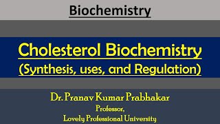 Cholesterol Synthesis Pathway  Cholesterol Metabolism  Regulation of Cholesterol Synthesis [upl. by Eellek]