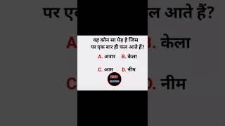 वह कौनसा पेड़ है जिस पर एक बार ही फल आते है iqchallenge gk examiq gkquiz iqtest iq iqoption [upl. by Dickey783]