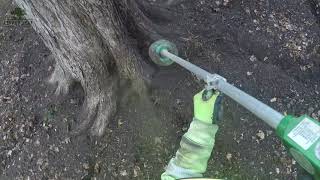 Aerating tree roots using the Supersonic Air Knife Radial trenching [upl. by Lauro983]