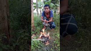 Survival skill Simple and useful forest bushcraft survival outdoors shorts camping [upl. by Drannel623]